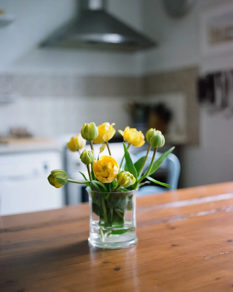 home-4